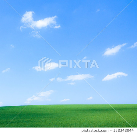 The refreshing blue sky, white clouds, and fields of green wheat create a striking summer scene in Biei, Hokkaido. The refreshing blue sky, white clouds, and fields of green wheat create a striking summer scene in Biei, Hokkaido. 138348044