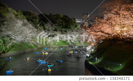 千鳥淵：夜晚盛開的櫻花 138348171