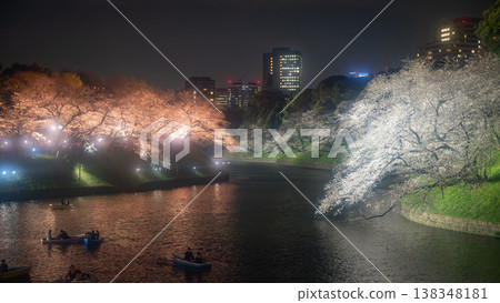 千鳥淵:夜晚盛開的櫻花 千鳥淵:夜晚盛開的櫻花 138348181