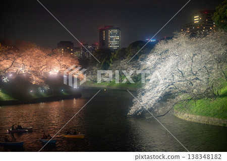 千鳥淵:夜晚盛開的櫻花 千鳥淵:夜晚盛開的櫻花 138348182