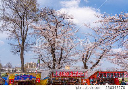 八王子市櫻花節，藤森公園 138348278
