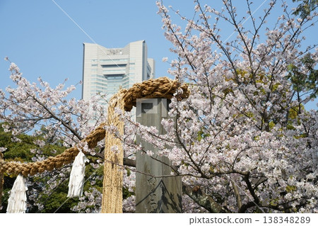 伊勢山神社的春天 伊勢山神社的春天 138348289