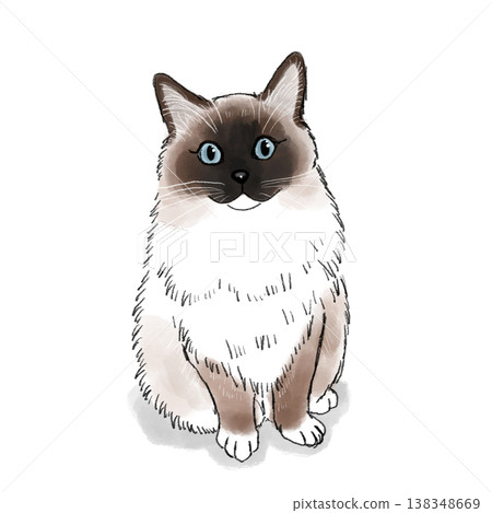 Cat illustration, cat, illustration, ragdoll, cute Cat illustration, cat, illustration, ragdoll, cute 138348669