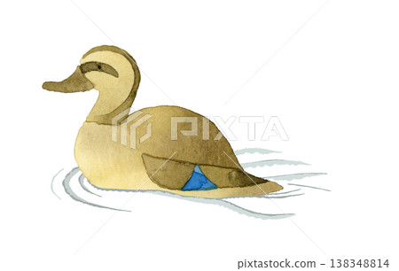 一隻雌性綠頭鴨在游泳——可愛、奇特、手繪水彩插圖。 138348814