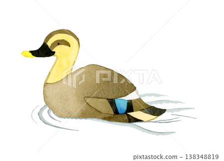 Swimming Mallard Duck - Cute and whimsical hand-drawn watercolor illustration of an animal Swimming Mallard Duck - Cute and whimsical hand-drawn watercolor illustration of an animal 138348819