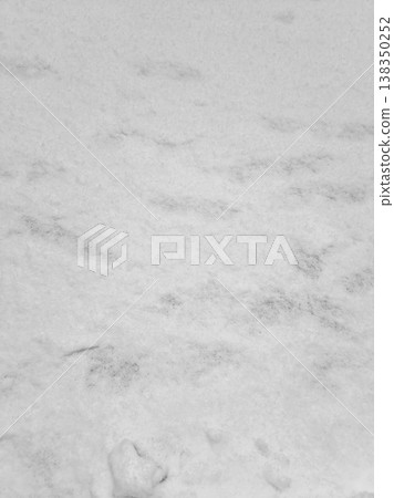 It is a snowy floor. It is a snowy floor. 138350252