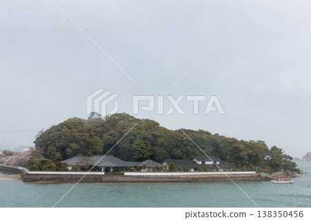 雨天在伊勢志摩觀光，欣賞櫻花盛開的御木本珍珠島。 138350456