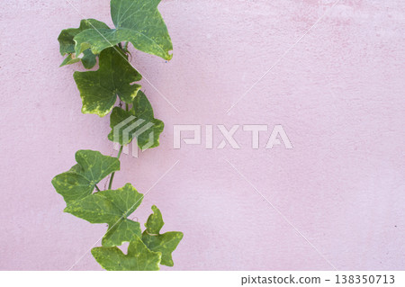 background texture nature leaf arrangement flat lay postcard style on cement walls 138350713