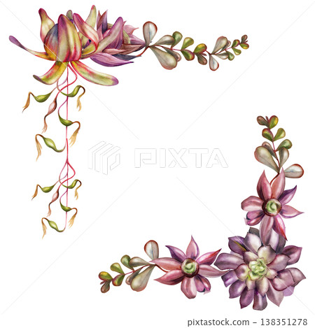 Exotic protea, succulent rosettes with flowing foliage of bromeliad vine, kalanchoe money plant branches. Isolated illustration hand drawn in watercolor. Corner frame for florist marketing printables. 138351278