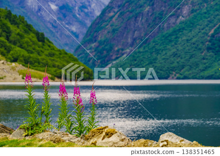 View on fjord Sognefjord, Gudvangen Norway View on fjord Sognefjord, Gudvangen Norway 138351465