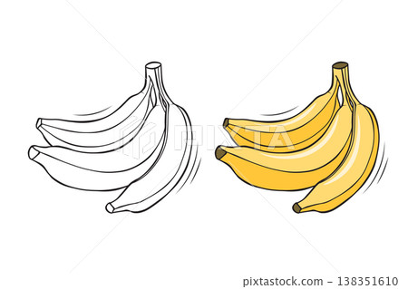 Bananas outline and colored version side by side, hand drawn fruit vector illustration for coloring book pages 138351610