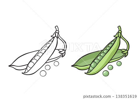 Peas outline and colored version side by side, hand drawn vegetable vector illustration for coloring book pages 138351619