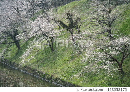 三月,九段下縣田安門附近的春日景色 三月,九段下縣田安門附近的春日景色 138352173