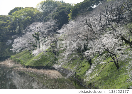 三月,九段下縣田安門附近的春日景色 三月,九段下縣田安門附近的春日景色 138352177