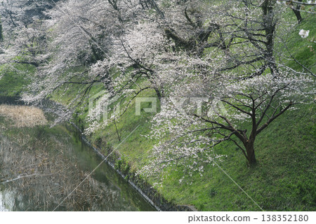 Scenery near Tayasu Gate in Kudanshita in spring, March Scenery near Tayasu Gate in Kudanshita in spring, March 138352180