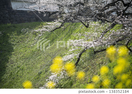 三月，九段下縣田安門附近的春日景色 138352184