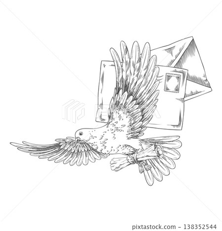 Dove with scroll flying sketch, envelopes letter with postage stamp and pigeon vector engraved hand drawn illustration Dove with scroll flying sketch, envelopes letter with postage stamp and pigeon vector engraved hand drawn illustration 138352544