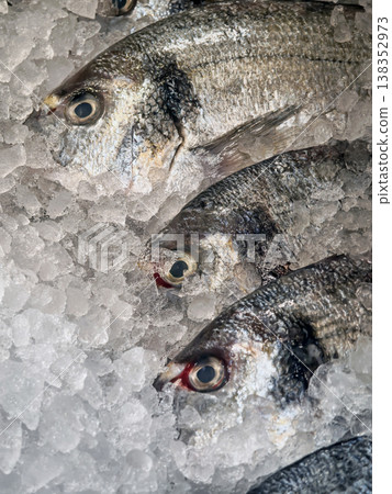 Fresh fish on ice at the seafood market in the afternoon light 138352973