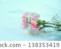 Wrapped carnations - Mother's Day image 138353419