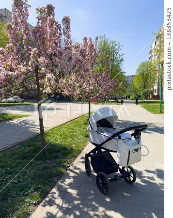 Baby stroller on park path under blooming cherry trees Baby stroller on park path under blooming cherry trees 138353425