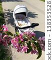 Pink cherry blossoms with baby stroller on sunny sidewalk 138353528