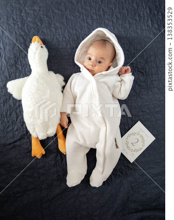 Newborn baby in white hooded onesie with plush goose toy Newborn baby in white hooded onesie with plush goose toy 138353529