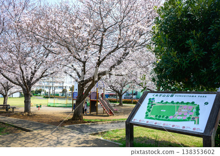 Park where cherry blossoms in full bloom bloom 138353602