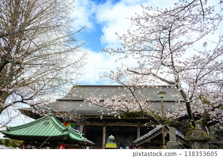 Cherry blossoms and temple hall, Nakayama Hokekyo-ji Temple, Ichikawa City, Chiba Prefecture Cherry blossoms and temple hall, Nakayama Hokekyo-ji Temple, Ichikawa City, Chiba Prefecture 138353605
