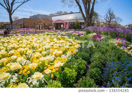 Meijo Park in spring: Meijo Park Flower Plaza, where flowers are in full bloom (Nagoya City, Aichi Prefecture) Meijo Park in spring: Meijo Park Flower Plaza, where flowers are in full bloom (Nagoya City, Aichi Prefecture) 138354285