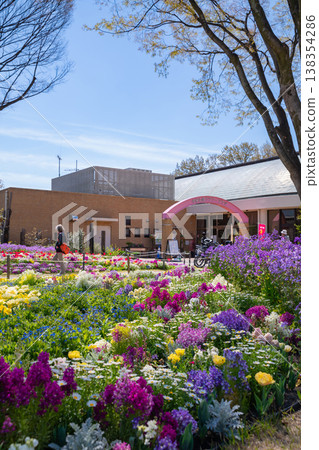 Meijo Park in spring: Meijo Park Flower Plaza, where flowers are in full bloom (Nagoya City, Aichi Prefecture) Meijo Park in spring: Meijo Park Flower Plaza, where flowers are in full bloom (Nagoya City, Aichi Prefecture) 138354286