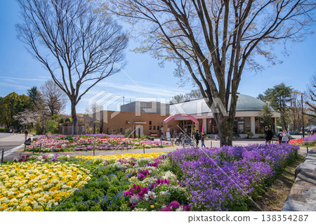 春天的名城公園:名城公園花卉廣場,花朵盛開(愛知縣名古屋市) 春天的名城公園:名城公園花卉廣場,花朵盛開(愛知縣名古屋市) 138354287