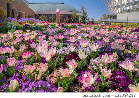 春天的名城公園:名城公園花卉廣場,花朵盛開(愛知縣名古屋市) 春天的名城公園:名城公園花卉廣場,花朵盛開(愛知縣名古屋市) 138354288