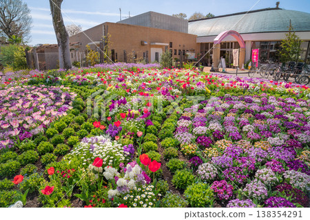 Meijo Park in spring: Meijo Park Flower Plaza, where flowers are in full bloom (Nagoya City, Aichi Prefecture) Meijo Park in spring: Meijo Park Flower Plaza, where flowers are in full bloom (Nagoya City, Aichi Prefecture) 138354291