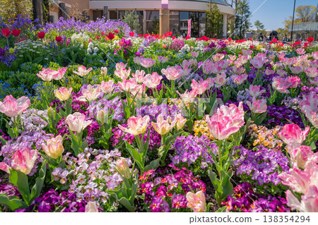 春天的名城公園:名城公園花卉廣場,花朵盛開(愛知縣名古屋市) 春天的名城公園:名城公園花卉廣場,花朵盛開(愛知縣名古屋市) 138354294
