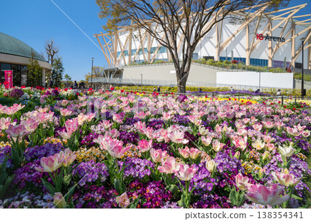 Meijo Park in spring: Meijo Park Flower Plaza, where flowers are in full bloom (Nagoya City, Aichi Prefecture) Meijo Park in spring: Meijo Park Flower Plaza, where flowers are in full bloom (Nagoya City, Aichi Prefecture) 138354341