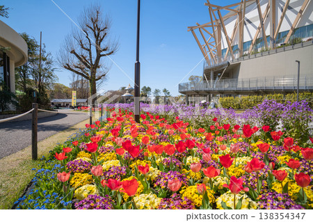 Meijo Park in spring: Meijo Park Flower Plaza, where flowers are in full bloom (Nagoya City, Aichi Prefecture) 138354347