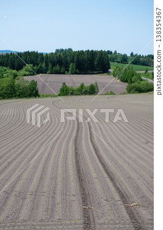 Spring field where vegetable seedlings were planted Spring field where vegetable seedlings were planted 138354367