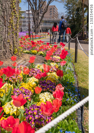春天的名城公園：名城公園花卉廣場，花朵盛開（愛知縣名古屋市） 138354456
