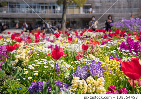 Meijo Park in spring: Meijo Park Flower Plaza, where flowers are in full bloom (Nagoya City, Aichi Prefecture) Meijo Park in spring: Meijo Park Flower Plaza, where flowers are in full bloom (Nagoya City, Aichi Prefecture) 138354458