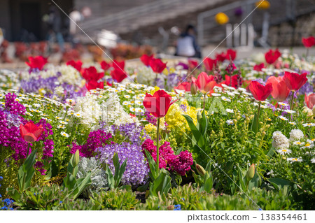 Meijo Park in spring: Meijo Park Flower Plaza, where flowers are in full bloom (Nagoya City, Aichi Prefecture) Meijo Park in spring: Meijo Park Flower Plaza, where flowers are in full bloom (Nagoya City, Aichi Prefecture) 138354461