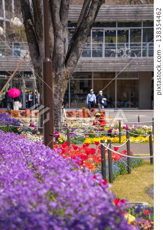 春天的名城公園：名城公園花卉廣場，花朵盛開（愛知縣名古屋市） 138354462
