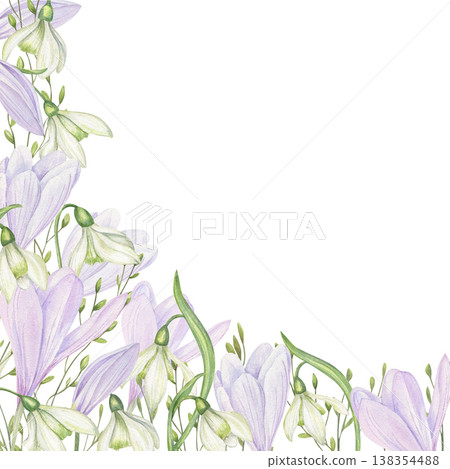 Spring flowers watercolor square border on isolated background. White snowdrops, violet crocuses and grass frame with empty space for text. Floral composition for greeting card, wedding invitation Spring flowers watercolor square border on isolated background. White snowdrops, violet crocuses and grass frame with empty space for text. Floral composition for greeting card, wedding invitation 138354488