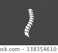 Human Spine Anatomy Minimal Medical Illustration 138354610