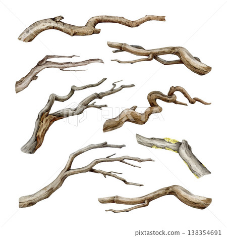 Tree dry branch watercolor illustration set. Hand drawn botanical tree stick element collection. Big tree beautiful curved branch elements isolated on white background. Dry stick natural decoration Tree dry branch watercolor illustration set. Hand drawn botanical tree stick element collection. Big tree beautiful curved branch elements isolated on white background. Dry stick natural decoration 138354691