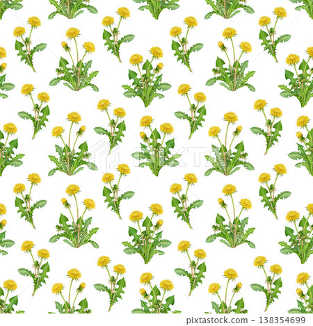 Dandelion plant seamless pattern decor on white background. Hand drawn watercolor illustration. Springtime blooming countryside wildflowers isolated. Dandelion flowers elegant decoration element 138354699