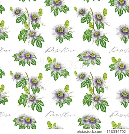 Passiflora flowers, leaves seamless pattern decor element. Hand drawn passion flower vintage style watercolor botanical illustration. Passiflora plant vine seamless pattern on white background Passiflora flowers, leaves seamless pattern decor element. Hand drawn passion flower vintage style watercolor botanical illustration. Passiflora plant vine seamless pattern on white background 138354702