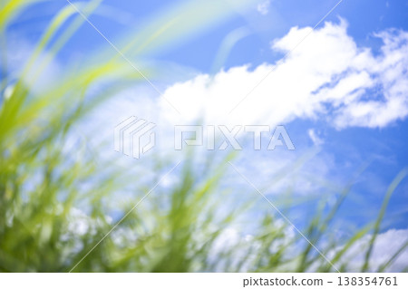 Summer grass and a refreshing summer sky, Hiruzen Highlands Summer grass and a refreshing summer sky, Hiruzen Highlands 138354761