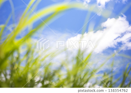 Summer grass and a refreshing summer sky, Hiruzen Highlands Summer grass and a refreshing summer sky, Hiruzen Highlands 138354762