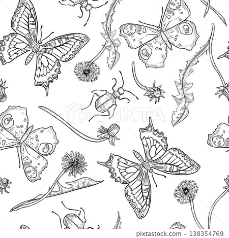 Seamless pattern black white vector hand drawn insects and wild plants isolated. Butterfly, beetle and dandelion flowers. Botanical monochrome sketch illustration on repeat background. Nature art. Seamless pattern black white vector hand drawn insects and wild plants isolated. Butterfly, beetle and dandelion flowers. Botanical monochrome sketch illustration on repeat background. Nature art. 138354769