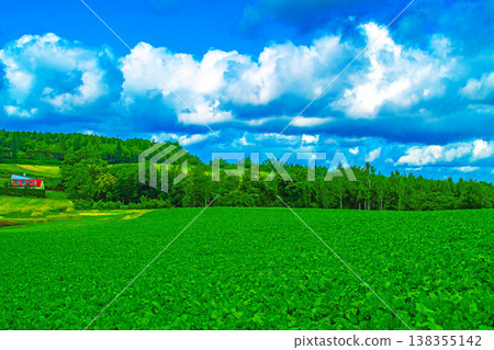 綠色的山丘與藍天白雲 138355142